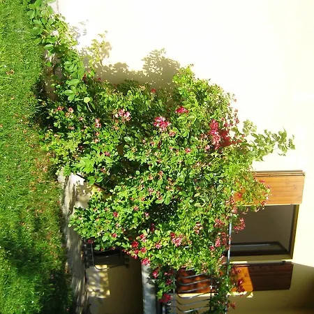 Apecchio-val Tiberina * Apecchio